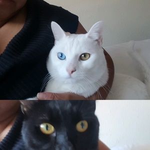 Meet your Posher, Maria